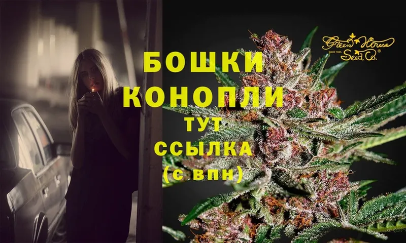 купить закладку  Гаврилов Посад  omg ссылка  Канабис SATIVA & INDICA 